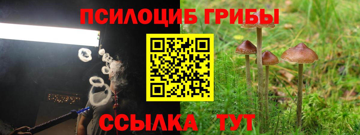 Людиново  даркнет сайт  Вход с VPN  Галлюциногенные грибы мицелий 